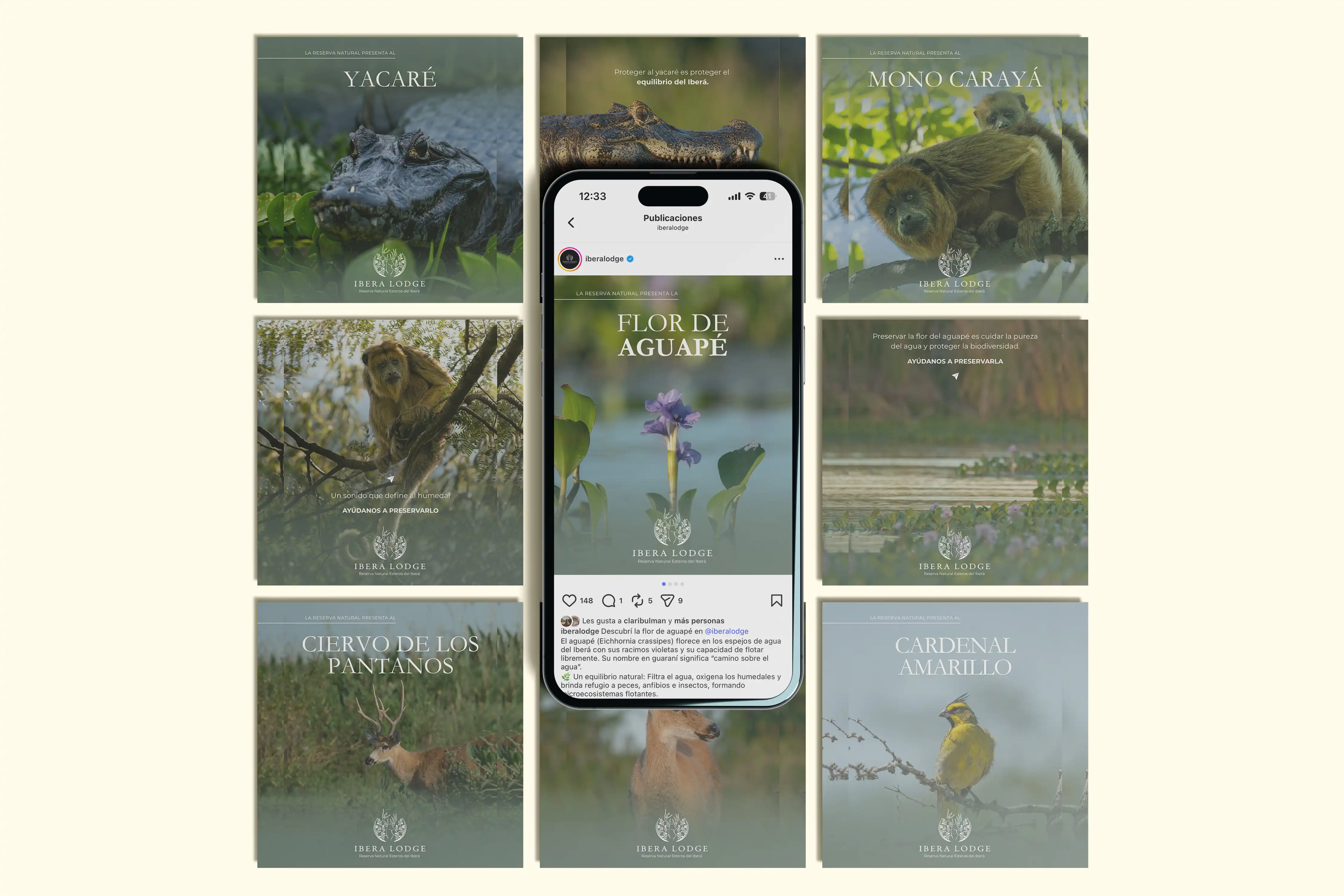 Social Media project